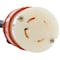 Ac Works SOOW Extension Cord, 10 AWG, Indoor/Outdoor, 10/4, 1 Outlets, L16-30R, Black, Rubber, L16-30P L1630PR-010 - alternate 4